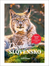 Divoké Slovensko Divoké Slovensko