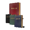 Biblia 2015 so zlatou oriezkou Biblia 2015 so zlatou oriezkou