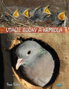 Vtáčie búdky a kŕmidlá Vtáčie búdky a kŕmidlá