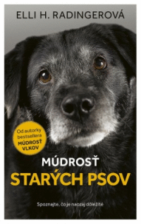 Detail Múdrosť starých psov