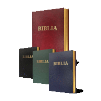 Detail Biblia 2015 so zlatou oriezkou