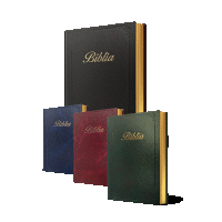 Biblia so zlatou oriezkou, ornamentom a ozdobným písmom