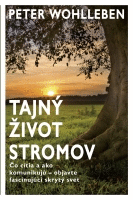Detail Tajný život stromov