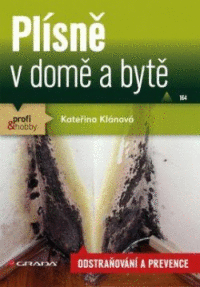 Detail Plísne v domě a bytě
